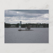 Briefkaart foto's (Voorkant)