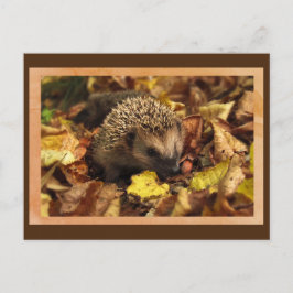Briefkaart Friendly Hedegel