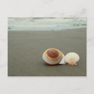 Briefkaart Galveston Island