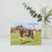 Briefkaart German Shepherd Dog Alsatian (Staand voorkant)