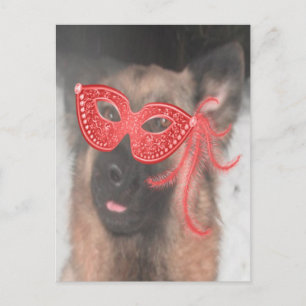Briefkaart German Shepherd Mardi Gras Mask Red
