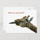 BRIEFKAART - GIRAFFE (Voorkant / Achterkant)