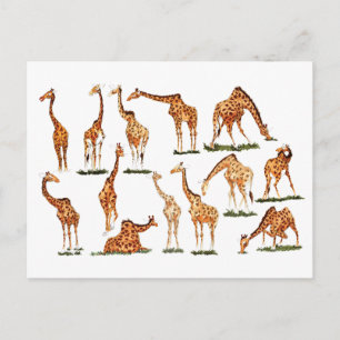 briefkaart "GIRAFFE"
