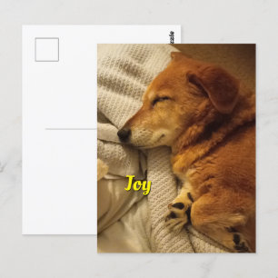 Briefkaart glimlachen