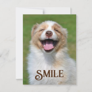 Briefkaart glimlachen van puppy Dog Funny Animal S