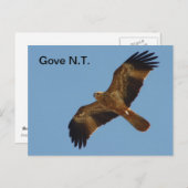 Briefkaart Gove Brahminy Kite 1 jaar (Voorkant / Achterkant)