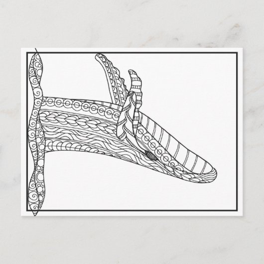 Briefkaart grijze walvis (Voorkant)