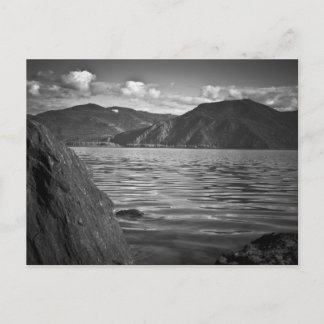 BRIEFKAART ~ Groene monarchen langs het meer van P