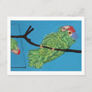 briefkaart groene papegaai