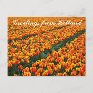 briefkaart "Groeten uit Nederland"