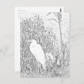 Briefkaart - Groot in grijs naar kleur (Voorkant / Achterkant)