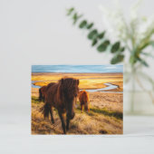 briefkaart Hallo paarden (Staand voorkant)