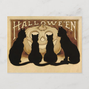 Briefkaart  Halloween Cats