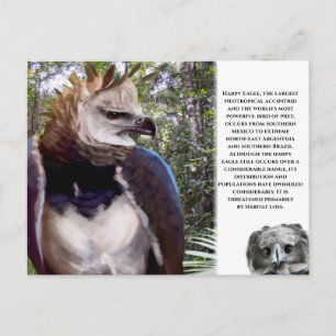 briefkaart "Harpy Eagle"