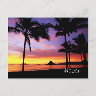 Briefkaart Hawaii Dream