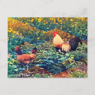 Briefkaart Hawaiian Rooster