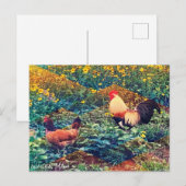 Briefkaart Hawaiian Rooster (Voorkant / Achterkant)