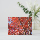 Briefkaart herfst. (Staand voorkant)