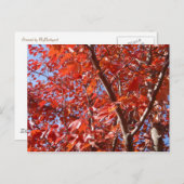 Briefkaart herfst. (Voorkant / Achterkant)