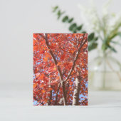 Briefkaart herfst. (Staand voorkant)
