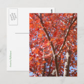 Briefkaart herfst. (Voorkant / Achterkant)