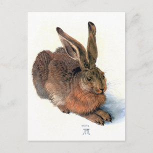 Briefkaart: Het Konijn Briefkaart
