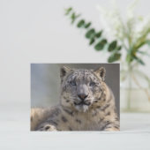 Briefkaart Himalayan Prince (Staand voorkant)