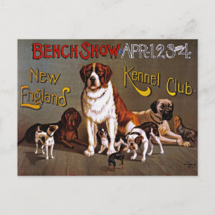 Briefkaart: Hond Show: Bench Show 1890 Briefkaart
