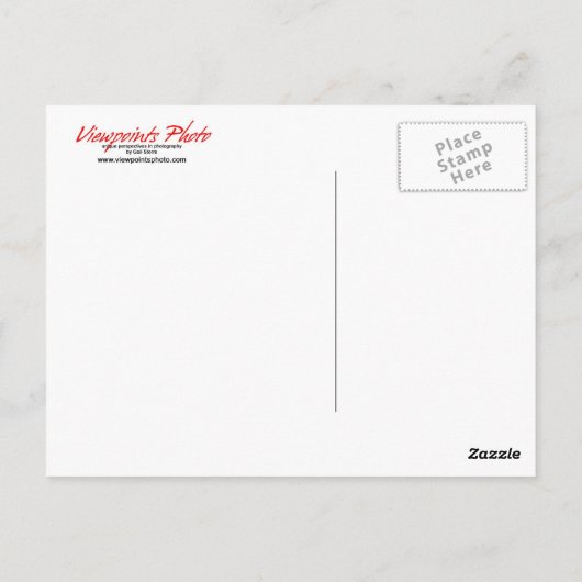 Briefkaart: Horizontaal Dogwood Briefkaart (Achterkant)