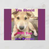 Briefkaart horizontale Sjabloon (Voorkant)