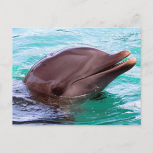 Briefkaart horizontale Sjabloon - Gepersonaliseerd