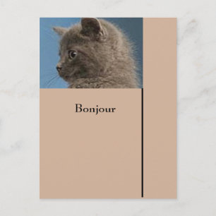 Briefkaart Houd contact met het aangepaste Zazzle