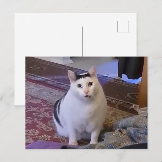 Briefkaart Huh Cat Meme (Voorkant / Achterkant)