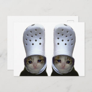 Briefkaart Huilen Cat Croc Pet Meme