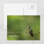 Briefkaart Hummingbird Costa Rica (Voorkant / Achterkant)