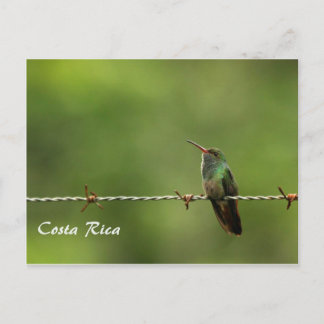 Briefkaart Hummingbird Costa Rica