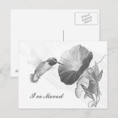 Briefkaart Hummingbird & Morning Glory Ik ben verh (Voorkant / Achterkant)