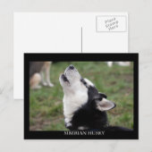 briefkaart husky (Voorkant / Achterkant)