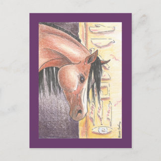 Briefkaart "Ibn Denah"