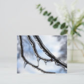 Briefkaart Icy Branches (Staand voorkant)