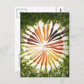 Briefkaart  illustratie (Voorkant / Achterkant)