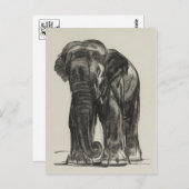 Briefkaart illustratie (Voorkant / Achterkant)