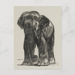 Briefkaart  illustratie