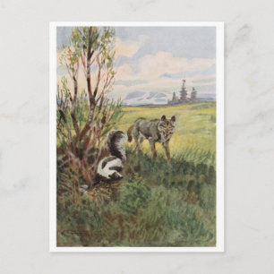 Briefkaart  illustratie