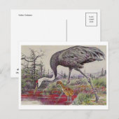 Briefkaart  illustratie (Voorkant / Achterkant)