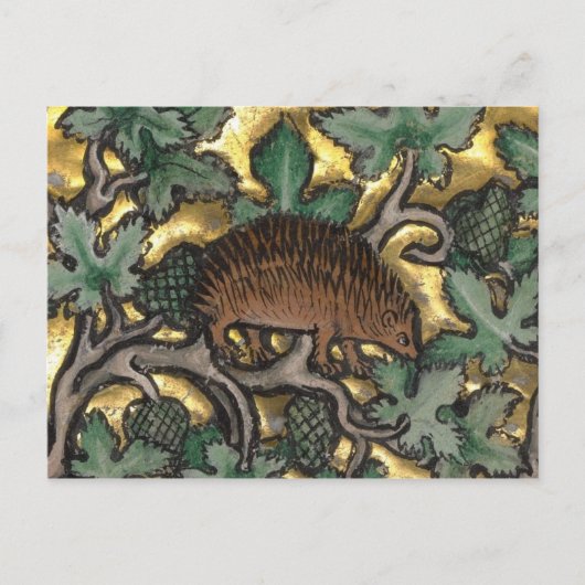 Briefkaart illustratie (Voorkant)