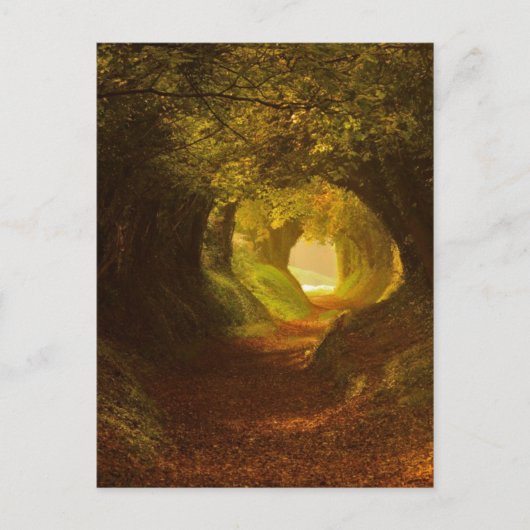 Briefkaart  illustratie (Voorkant)