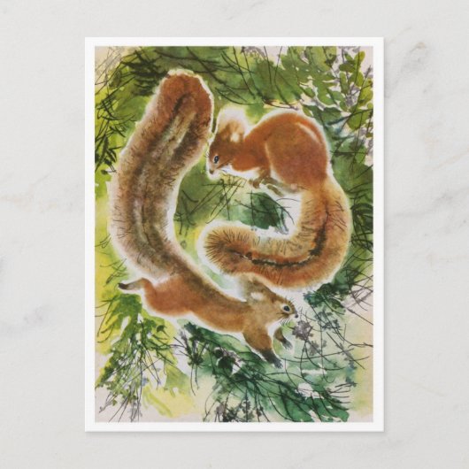 Briefkaart  illustratie (Voorkant)