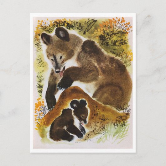 Briefkaart  illustratie (Voorkant)