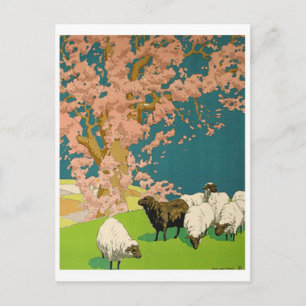 Briefkaart  illustratie